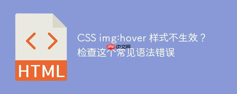 CSS img:hover 样式不生效？检查这个常见语法错误-小浪学习网