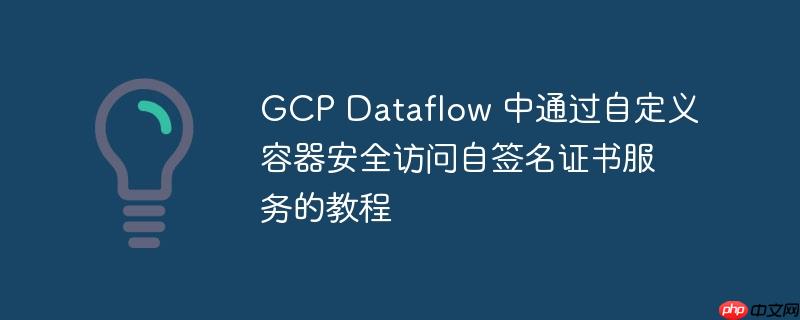 GCP Dataflow 中通过自定义容器安全访问自签名证书服务的教程-小浪学习网