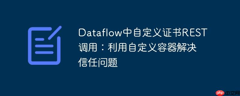 Dataflow中自定义证书REST调用：利用自定义容器解决信任问题