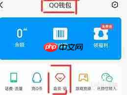 QQ中如何查看好友充的黄钻信息