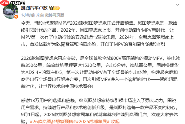 岚图CEO:全新梦想家再次引领MPV时代 新车9月到店