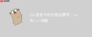 Go语言中的位移运算符：> 详解