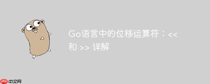 Go语言中的位移运算符：<< 和 >> 详解-小浪学习网