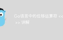 Go语言中的位移运算符 << 和 >> 详解