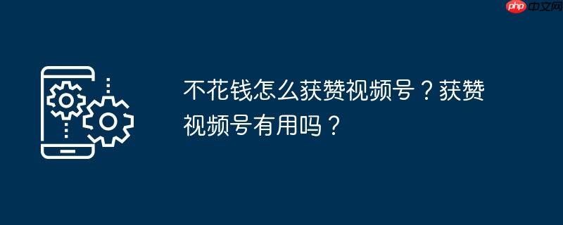 不花钱怎么获赞视频号？获赞视频号有用吗？