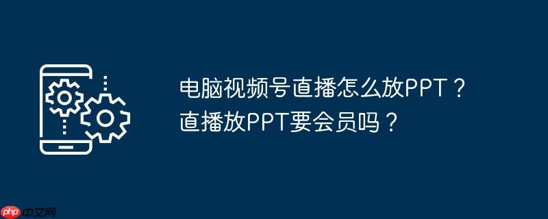 pc端视频号直播怎么实时 pc端视频号直播