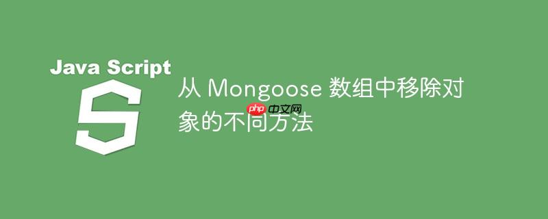 从 Mongoose 数组中移除对象的不同方法