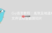 Go语言教程:高效且地道地从文件读取整数到切片