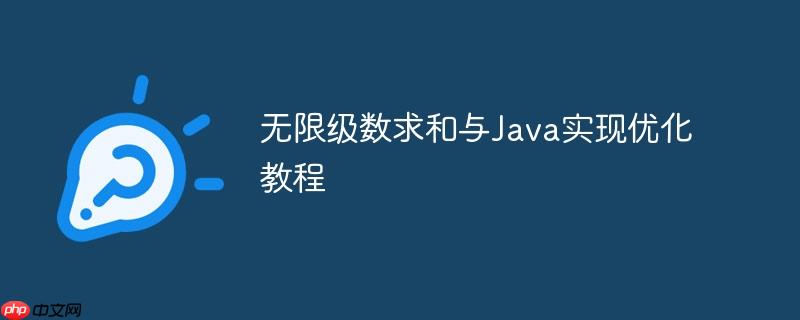 无限级数求和与Java实现优化教程