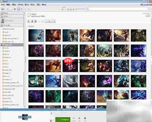 Picasa导入来源功能使用指南