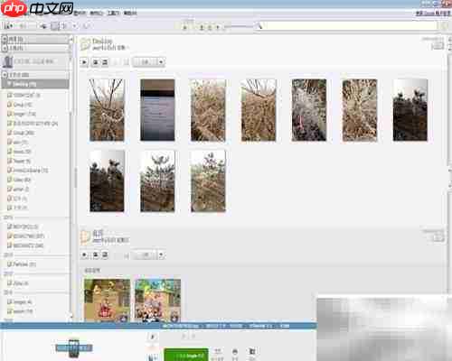 Picasa导入来源功能使用指南