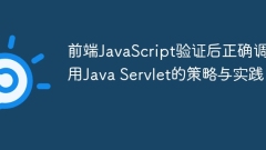 前端JavaScript驗證后正確調(diào)用Java Servlet的策略與實踐