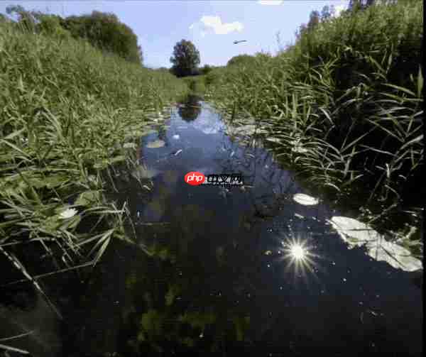 vivo Vision 探索版:398 克超轻机身 一次谨慎而勇敢的“视界”初探