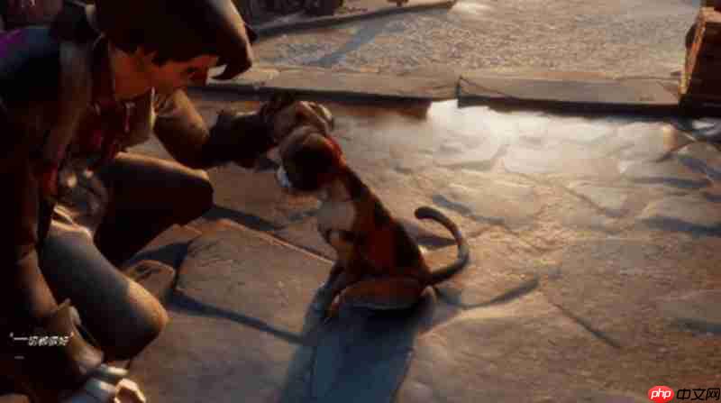 遗忘之海英文名是什么 遗忘之海英文名称详细介绍