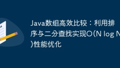 Java數(shù)組高效比較:利用排序與二分查找實現(xiàn)O(N log N)性能優(yōu)化