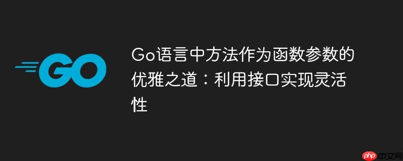 Go语言中方法作为函数参数的优雅之道：利用接口实现灵活性

