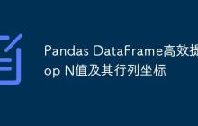 Pandas DataFrame高效提取Top N值及其行列坐标