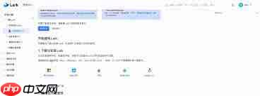 Lark文件共享失败的原因是什么