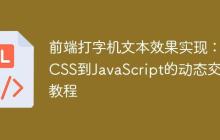 前端打字机文本效果实现：从CSS到JavaScript的动态交互教程