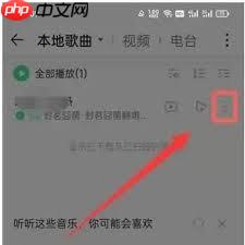 手机QQ音乐下载的音乐存放在哪