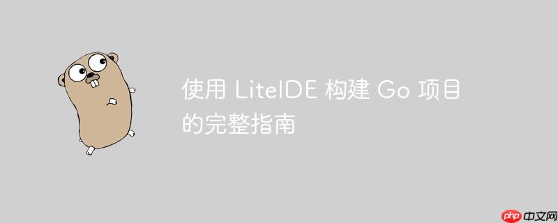 使用 liteide 构建 go 项目的完整指南