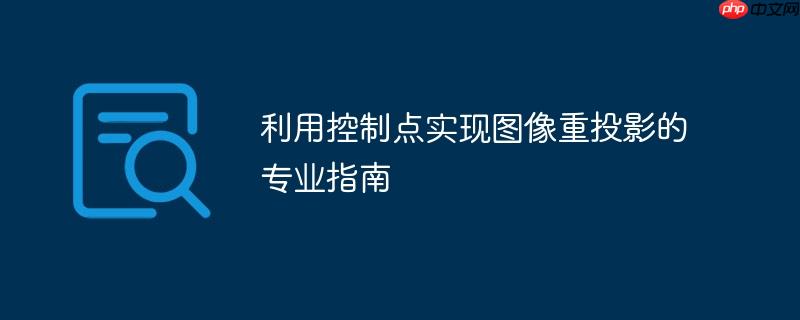 利用控制点实现图像重投影的专业指南
