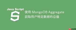 使用 MongoDB Aggregate 获取用户特定数据的总值