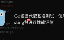 Go语言代码基准测试:使用testing包进行性能评估