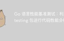Go 语言性能基准测试:利用 testing 包进行代码性能分析