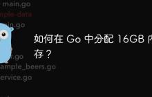 如何在 Go 中分配 16GB 内存?