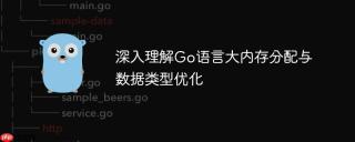 深入理解Go语言大内存分配与数据类型优化
