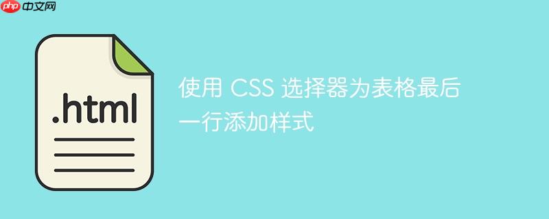 使用 CSS 选择器为表格最后一行添加样式