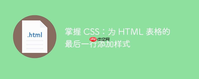 掌握 CSS：为 HTML 表格的最后一行添加样式-小浪学习网