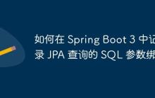 如何在 Spring Boot 3 中记录 JPA 查询的 SQL 参数绑定