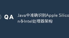 Java中準(zhǔn)確識(shí)別Apple Silicon與Intel處理器架構(gòu)