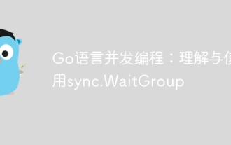 GO Language Programmation simultanée: comprendre et utiliser Sync.WaitGroup