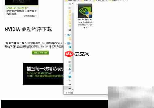 英伟达显卡驱动下载指南