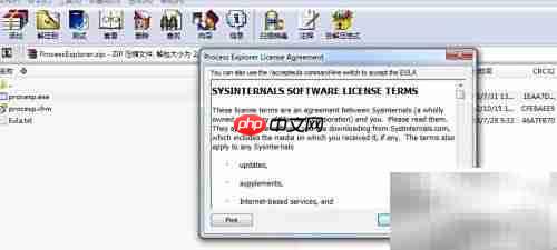Process Explorer汉化版安装指南