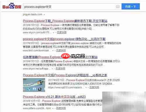 Process Explorer汉化版安装指南
