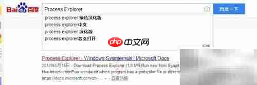 Process Explorer汉化版安装指南