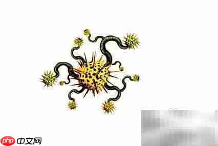 扫描电脑查杀潜在病毒