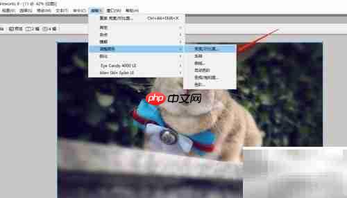 Fireworks调整图片亮度对比度