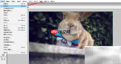 fireworks调整图片亮度对比度