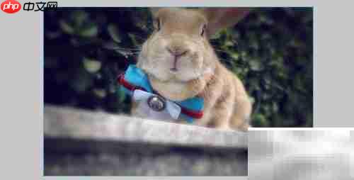 Fireworks调整图片亮度对比度