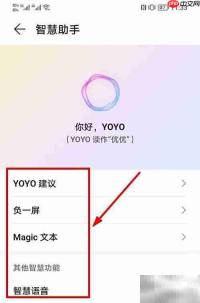 iPhone13设置Magic文本教程