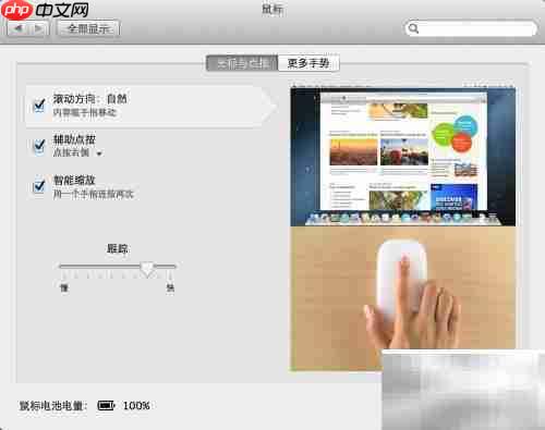 Magic Mouse 使用指南