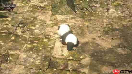 《流放之路2》国服预购倒计时！专属灵兽即将绝版