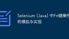 Simulation and implementation of Fn key operation in Selenium (Java)