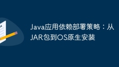 Java application dependency deployment strategy: from JAR package to OS native installation