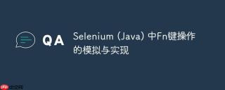 Selenium (Java) 中Fn键操作的模拟与实现